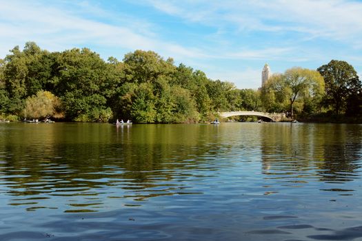People rowing boats on The Lake in Central Park. Bow Bridge spans the water between green trees in early fall.