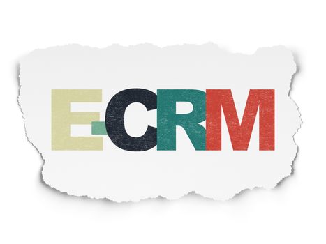 Finance concept: Painted multicolor text E-CRM on Torn Paper background