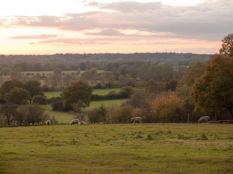 beautiful country scene fields trees horizon sky red autumn sun set Dedham Vale; essex; england; uk