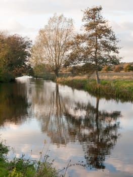 beautiful river stour lake autumn trees reflection countryside; essex; england; uk