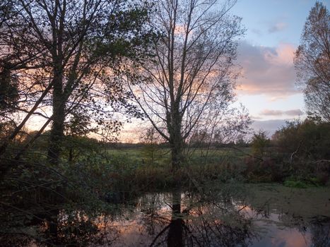 beautiful autumn bare branches no leaves countryside river sun set; essex; england; uk