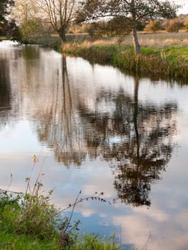 beautiful river stour lake autumn trees reflection countryside; essex; england; uk