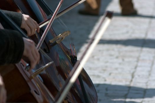 Detail hand musician playing on cello on the bridge