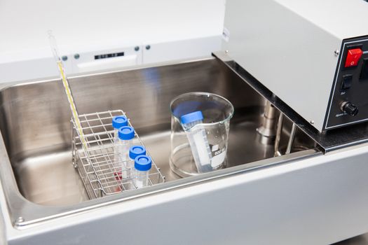 Falcon tubes and rack in a hot water bath at laboratory