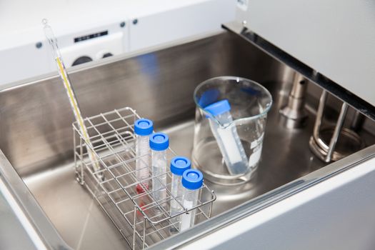 Falcon tubes and rack in a hot water bath at laboratory