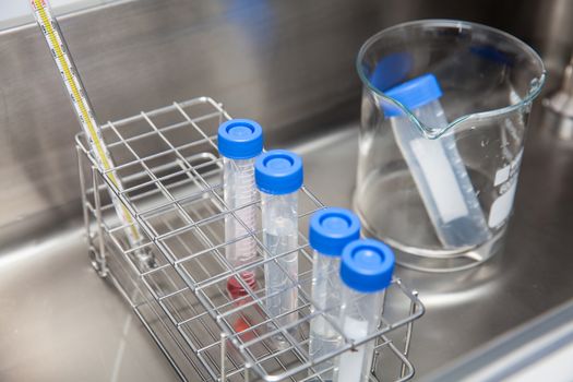 Falcon tubes and rack in a hot water bath at laboratory