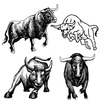 freehand sketch illustration a set of bull, doodle hand drawn