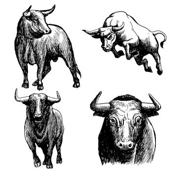 freehand sketch illustration a set of bull, doodle hand drawn