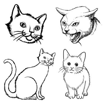 freehand sketch illustration a set of cat, doodle hand drawn