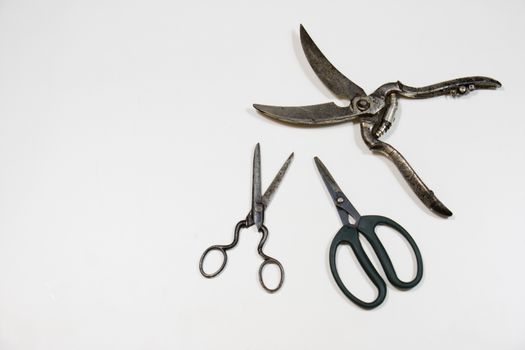 Old paper cutting scissors on a white background. Tailoring and gardening.