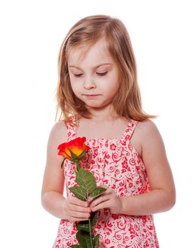 Little Girl Holding Rose isolated on white