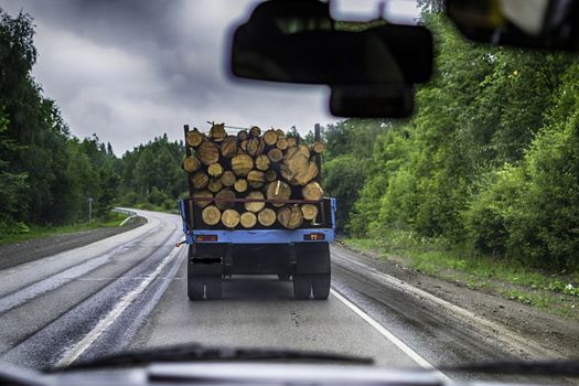 the road look into the distance travel in Russia