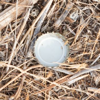 Bottle cap in nature - Pollution in Greece