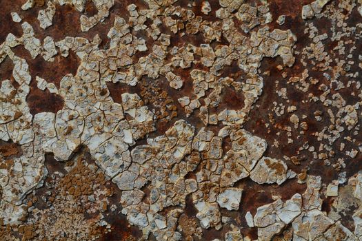 Background texture of Rusted steel Grunge real photo