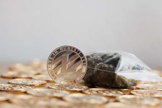 Crypto currency physical metal litecoin coin on the gold money. Digital currency concept.