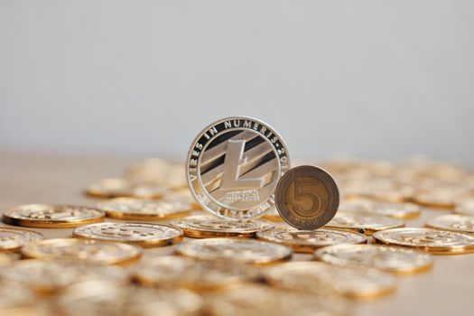 Crypto currency physical metal litecoin coin on the gold money. Digital currency concept.