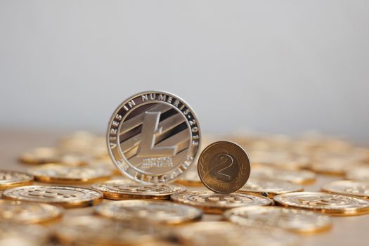 Crypto currency physical metal litecoin coin on the gold money. Digital currency concept.