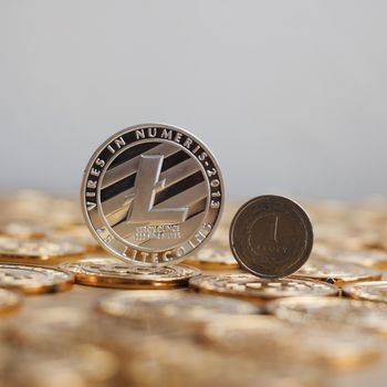 Crypto currency physical metal litecoin coin on the gold money. Digital currency concept.