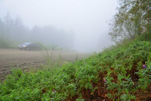 Empty rural road with car in the fog. Green grass in the foreground.