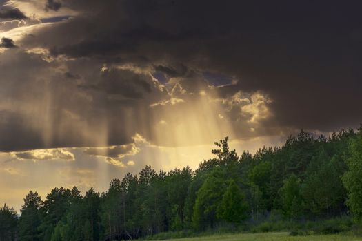 Sunbeams through dark clouds over forest. Stormy sky where sun-rays get through the dramatic clouds and hit the horizon