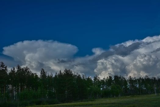 Green trees and clouds on the blue sky. White fluffy clouds against a blue sky and green trees.