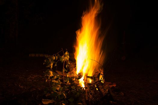 The bright bonfire burns at night