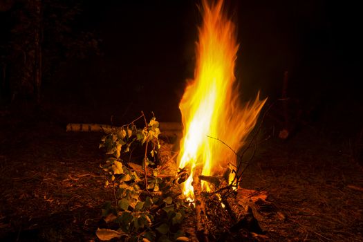 The bright bonfire burns at night