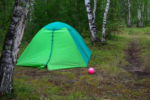 Green camping tent in birch forest