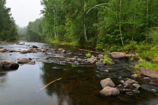 morning landscape with rapid river and forest, shot a long exposure. Stones in water