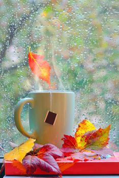 Autumn rainy window with hot tea and books