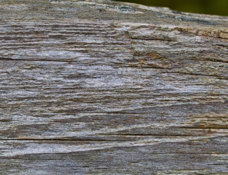 Old wooden fence background