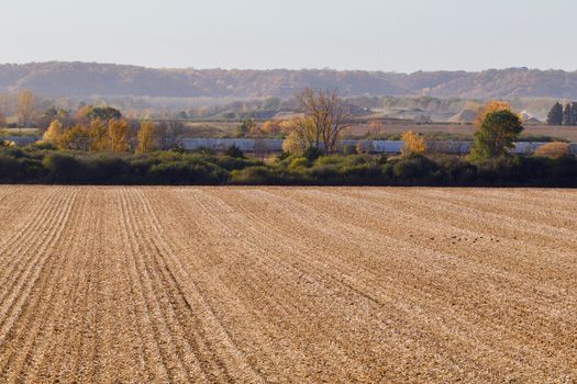 Havested corn scene