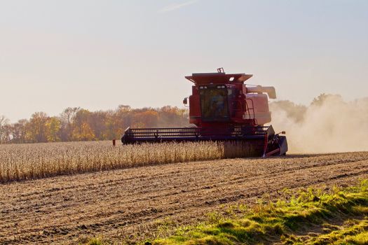 Combining soy beans