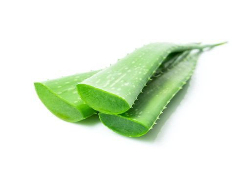 Aloe vera with sliced on white background for beauty and healthy product concept