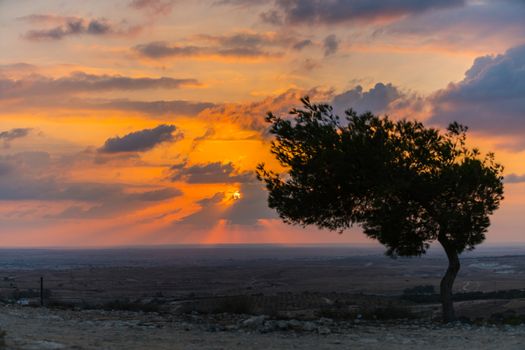 countryside, color sky at sunset in the desert