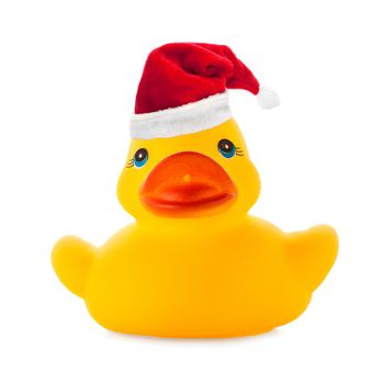 Rubber yellow duck with Santa clause hat as Christmas decoration on white background.