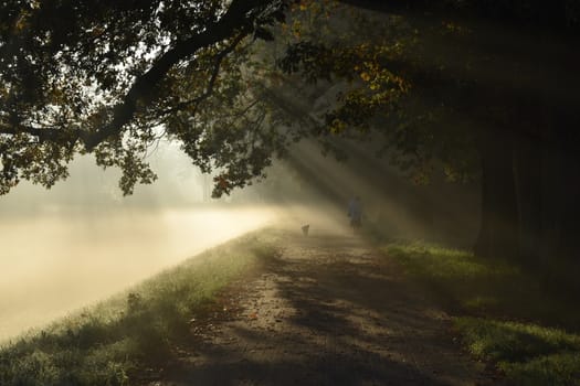 Mystery road, misty landscape, morning autumn park with sun rays