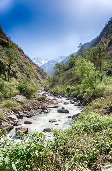 Trekking near nature reserve Langtang river