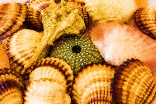 Closeup collection of different seashells - Digital painting