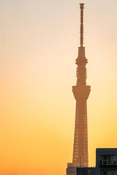 Tokyo Skytree with skyline building sunrise Ueno Japan