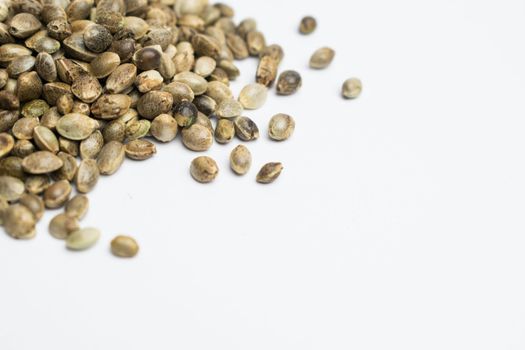 A group of raw cannabis seed disposed on a white background