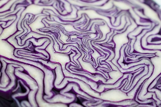 A portion of a red cabbage disposed on a white background