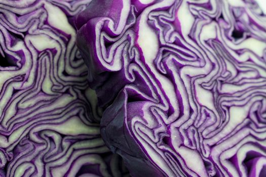 A portion of a red cabbage disposed on a white background