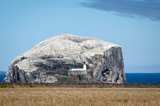 View of Bass Rock