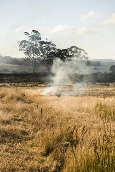 Bush fire in a country town in Hobart, Tasmania.