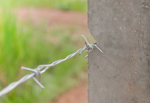 Barbed wire in the forest to protect nature.