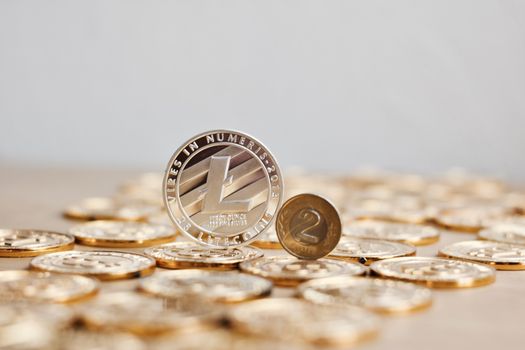 Crypto currency physical metal litecoin coin on the gold money. Digital currency concept.