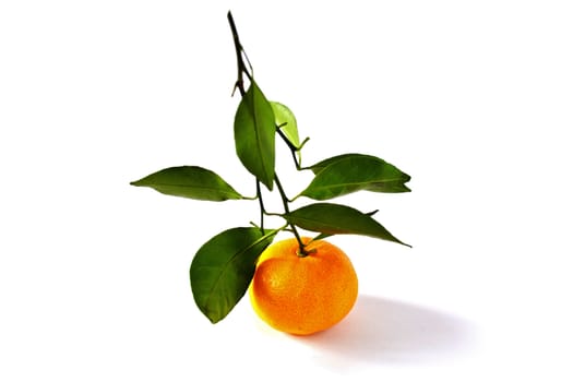 Organic Tangerine isolated on pure white background