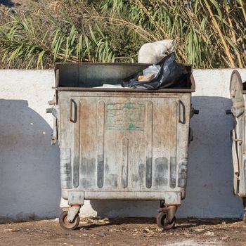 Garbage container in Greece - Cat scavenging for food