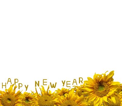 Beautiful frame of colorful sunflowers with sunflower letter arrange in the words Happy New Year, clipping path included.